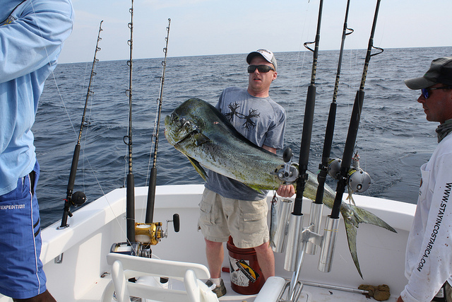 Jaco Sport Fishing - Parklands - Costa Rican Vacations, Corporate, Condos,  Excursions, Tours, Attractions, Rental Cars, & Dental